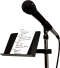 Raxxess Attachable Music Stand (model Amss)