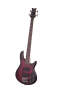 Schecter Raiden Elite 4 Electric Bass