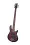 Schecter Raiden Elite 5 5 String Electric Bass