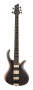 Schecter RIOT 5 5 String Electric Bass