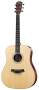 Taylor DN3 Dreadnought Acoustic Guitar with Case