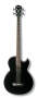 Washburn Ab10 Acoustic-electric Bass (with Gig Bag)