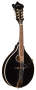 Washburn M1SDL A Style Mandolin