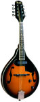 Fender FM52E Mandolin