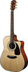 Fender CD-220SCE Guitar