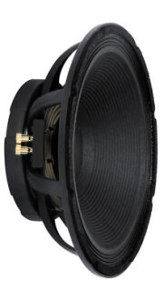 Peavey Black Widow 1502 Speaker