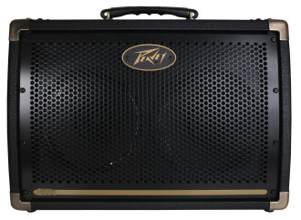 Peavey Ecoustic 208 Acoustic Guitar Amp