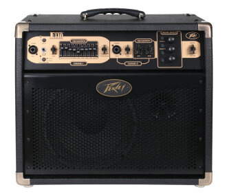 Peavey E110 Ecoustic Acoustic Guitar Amp