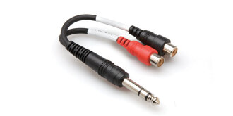 Hosa Y Cable - S 1/4 in M to 2 RCA F