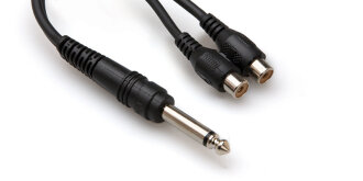 Hosa Y Cable - Mono 1/4 in M to 2 RCA F