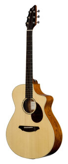 Breedlove C250SB Passport Plus Acoustic