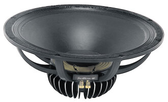 Peavey BWX-SC Raw Speaker