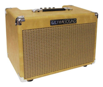 UltraSound AG30 Acoustic Guitar Amp