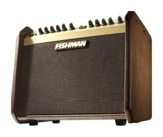 Fishman Loudbox Mini Acoustic Guitar Amp