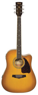 Ibanez PF25ECE Acoustic-Electric Guitar