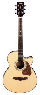 Ibanez PC25ECE PF Series Concert Guitar