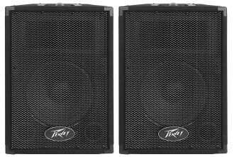 Peavey PVi 10 PA Speakers