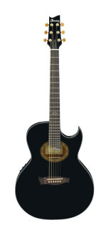 Ibanez EP5 Steve Vai Acoustic Guitar