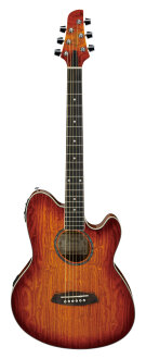 Ibanez TCY20E Talman Acoustic Guitar