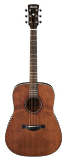 Ibanez AW250 Artwood Acoustic Guitar