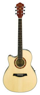 Ibanez AEF18LE Acoustic Electric Guitar