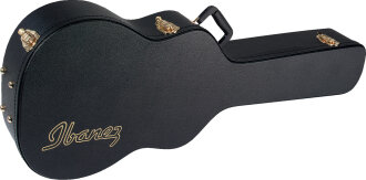 Ibanez AES Masa and Talman AC100C Case