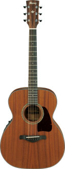 Ibanez AC240E Artwood Acoustic-Electric