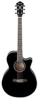 Ibanez AEG10E Acoustic-Electric