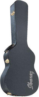 Ibanez AEG10C Hard Case for AEG