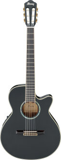 Ibanez AEG10NE Classical-Electric Guitar