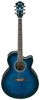 Ibanez AEL20E Acoustic-Electric Cutaway