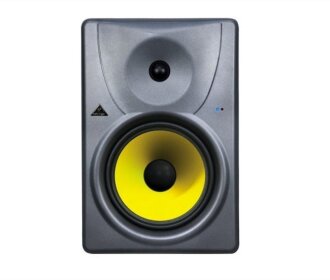 Behringer B1031A Truth Studio Monitors