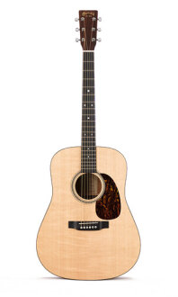Martin D-16GT Acoustic