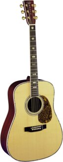 Martin D-41 Acoustic