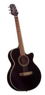 Takamine EG260C Dreadnought Cutaway