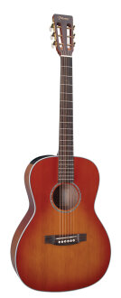 Takamine EG630SVV New Yorker Guitar