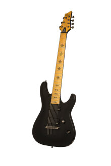 Schecter Loomis-7 7-String Guitar