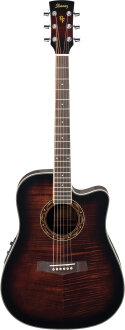 Ibanez PF28ECE Acoustic-Electric Guitar