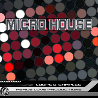 PLP Micro House