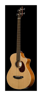 Breedlove Passport Plus B350/CBe4 Bass