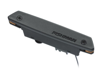 Fishman Rare Earth Acoustic Pickup
