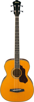 Ibanez SGBE110 Acoustic-Electric Bass