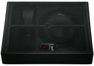 Peavey SP15M Passive Monitor