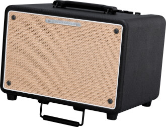 Ibanez T150S Troubadour Acoustic Amp