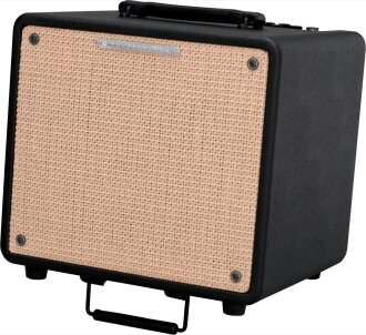 Ibanez T80N Troubadour Acoustic Amp
