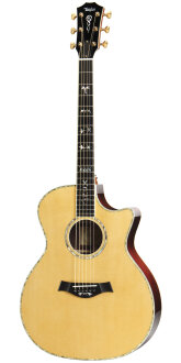 Taylor DMSM Dave Matthews Acoustic