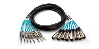 Hosa Snake 8-Channel XLR Male to TRS