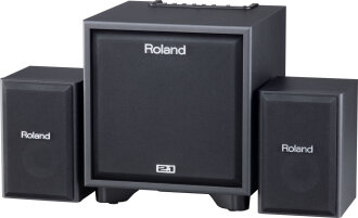 Roland CM110 Cube Monitor Speaker System