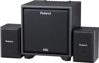 Roland CM220 Cube Monitor Speaker System