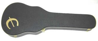 Epiphone EHLCS Case for AlleyKat Guitar